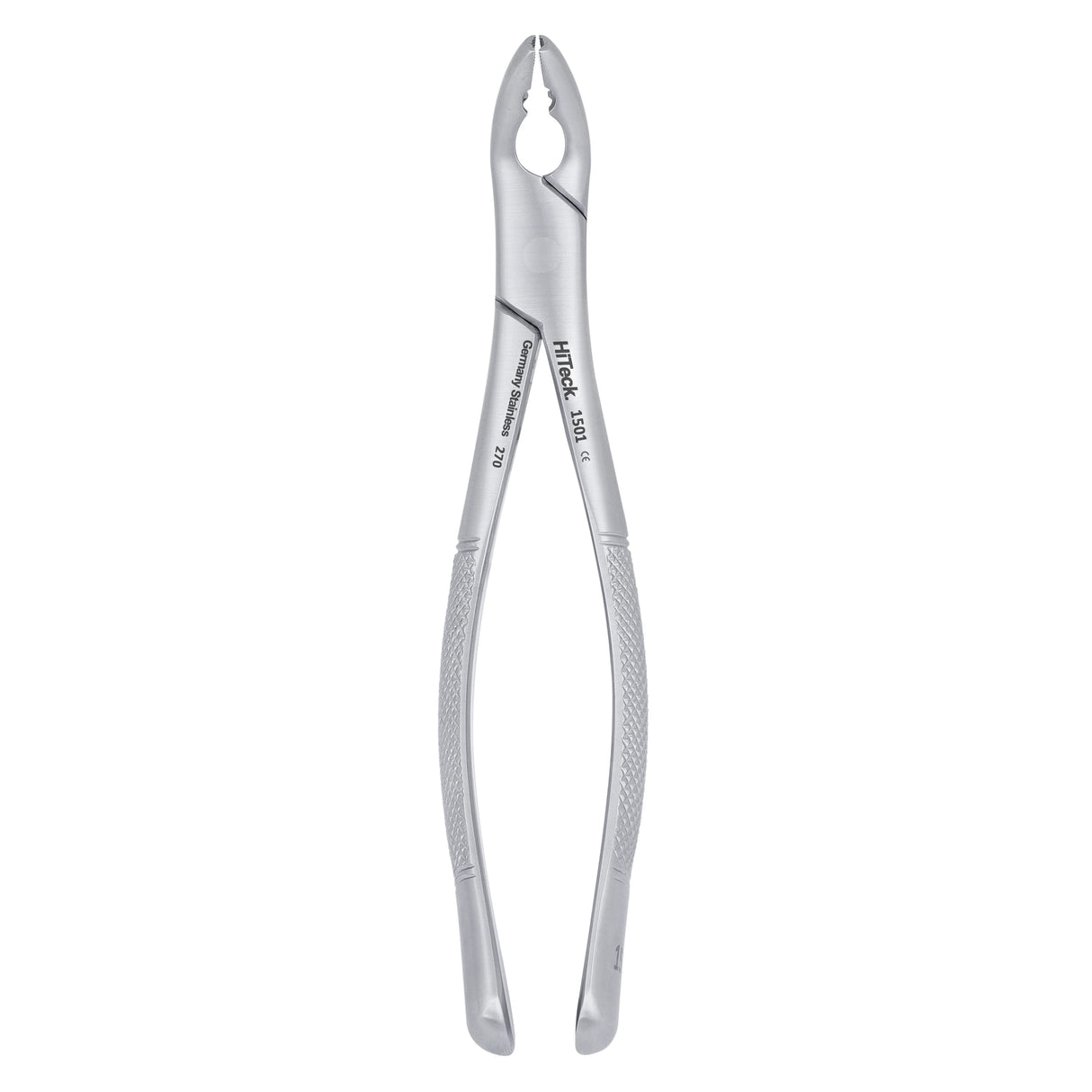 151AS Split Beaks Serrated Lower Incisors, Canines & Premolars Extraction Forceps