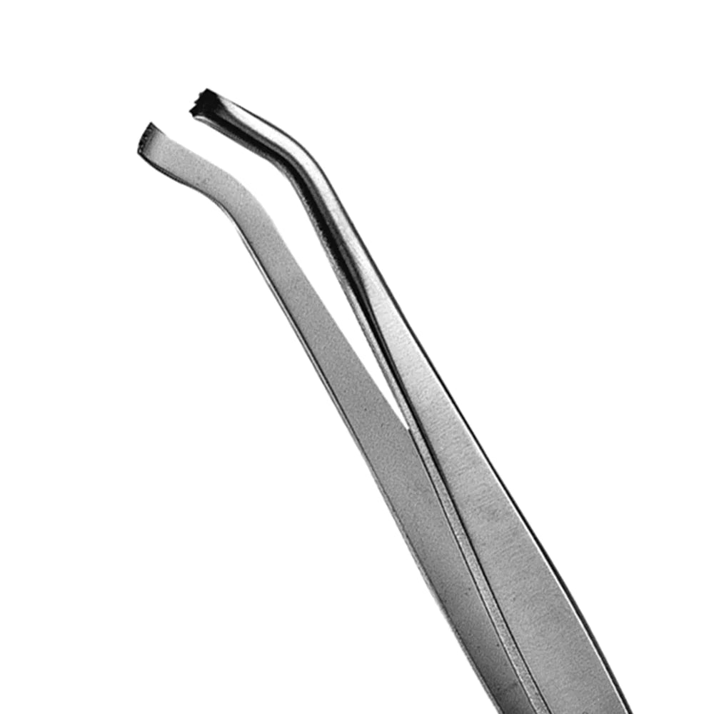 16 Tissue Forcep, 3x4, 15CM