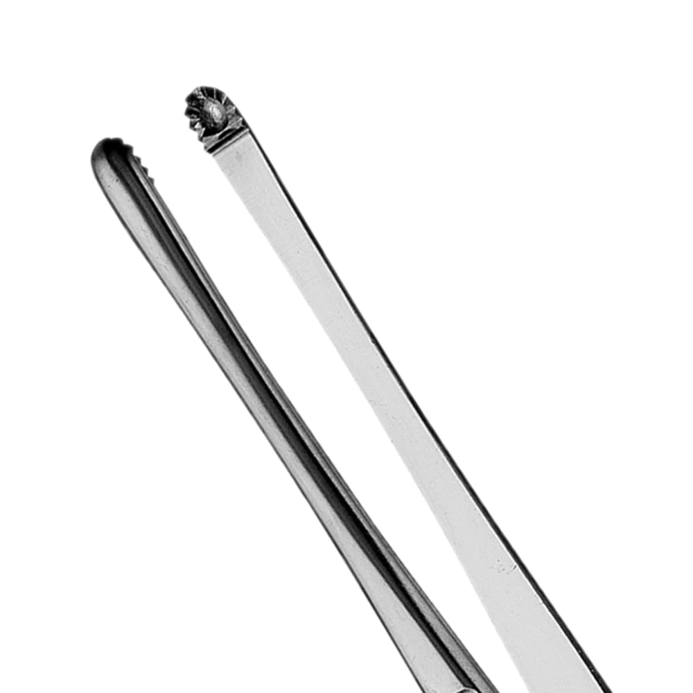Russian Tissue Forcep, 20 CM