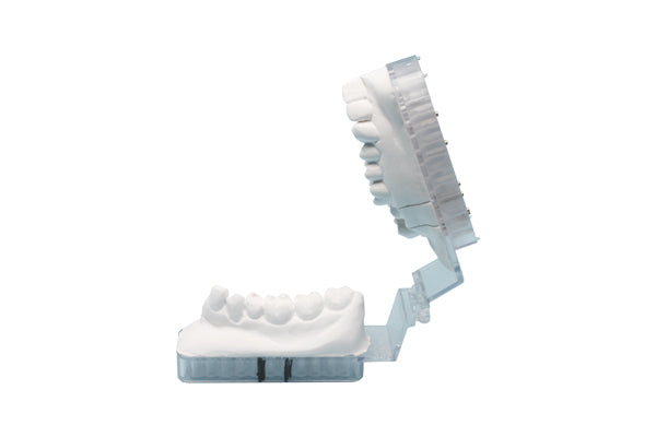 W.O.W.™ Posterior Articulators