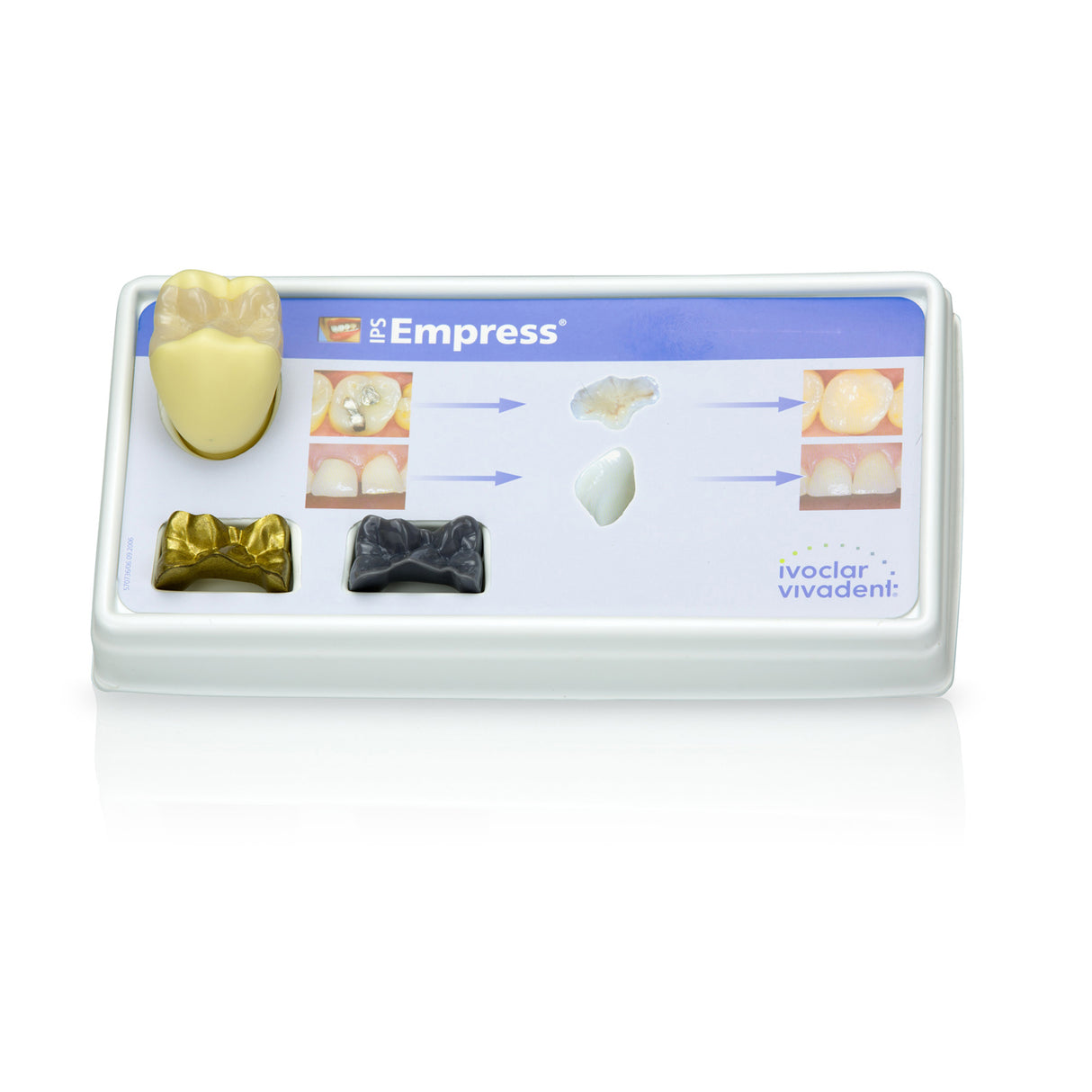 IPS Empress® Demo Tooth Model