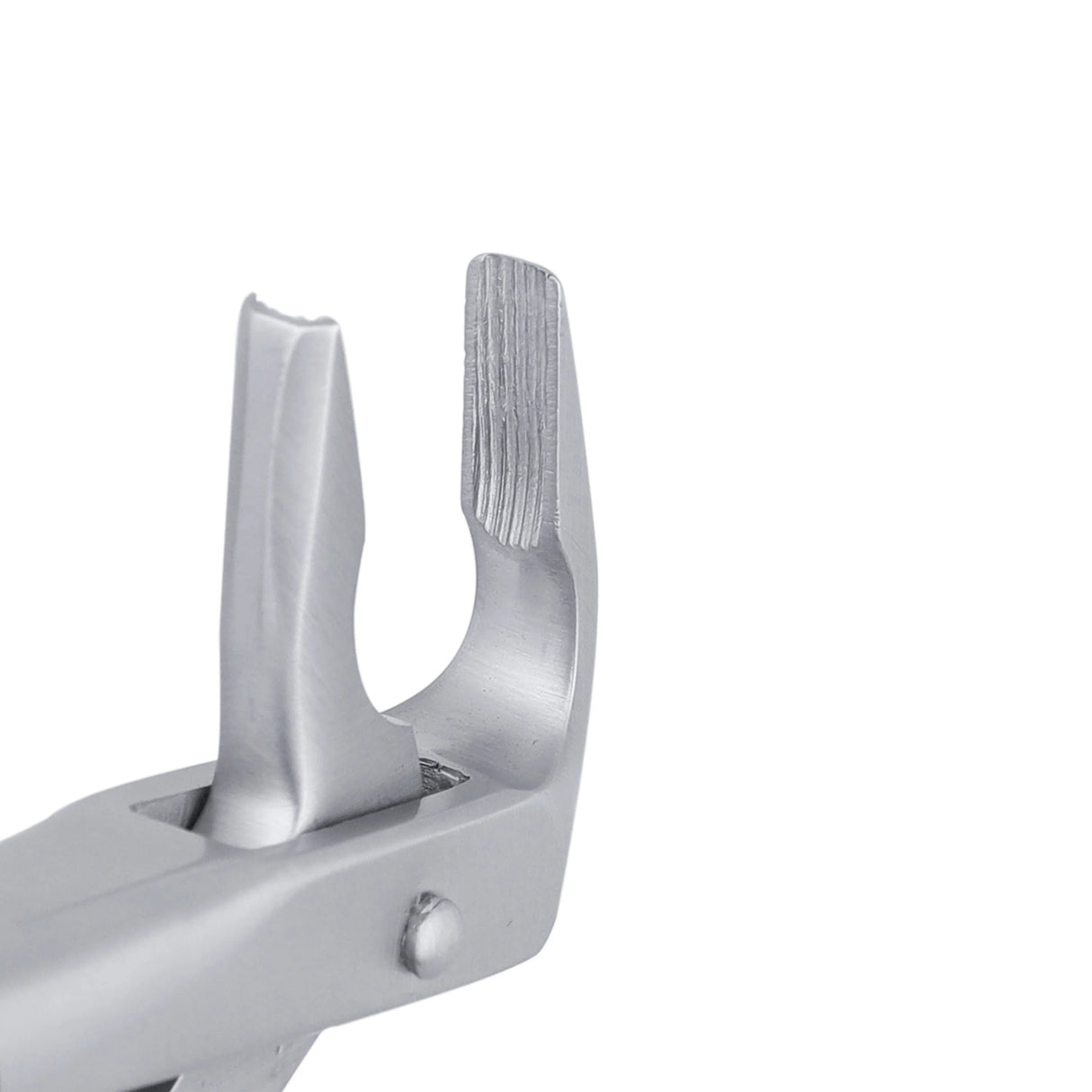 36 Apical Lower Premolars & Incisors Atraumair Extraction Forceps