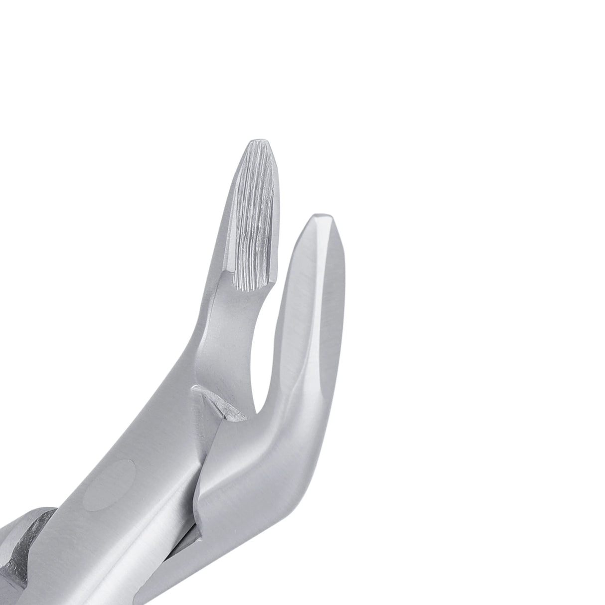 AF150 Upper Universal Apical Extraction Forceps