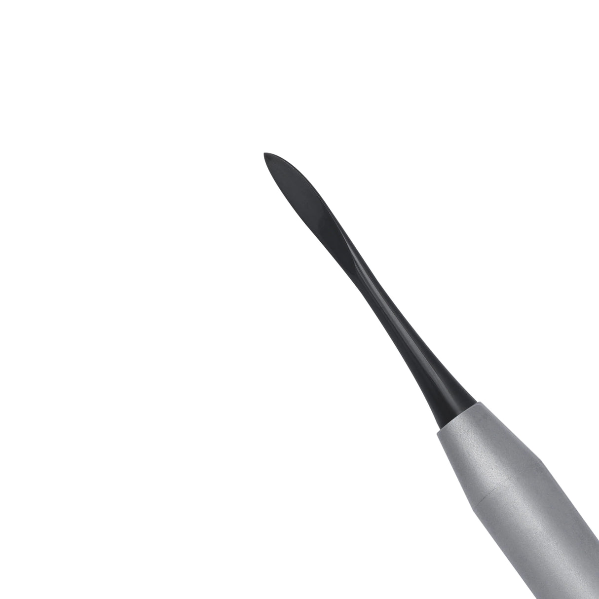 9 Siyah Molt Periosteal