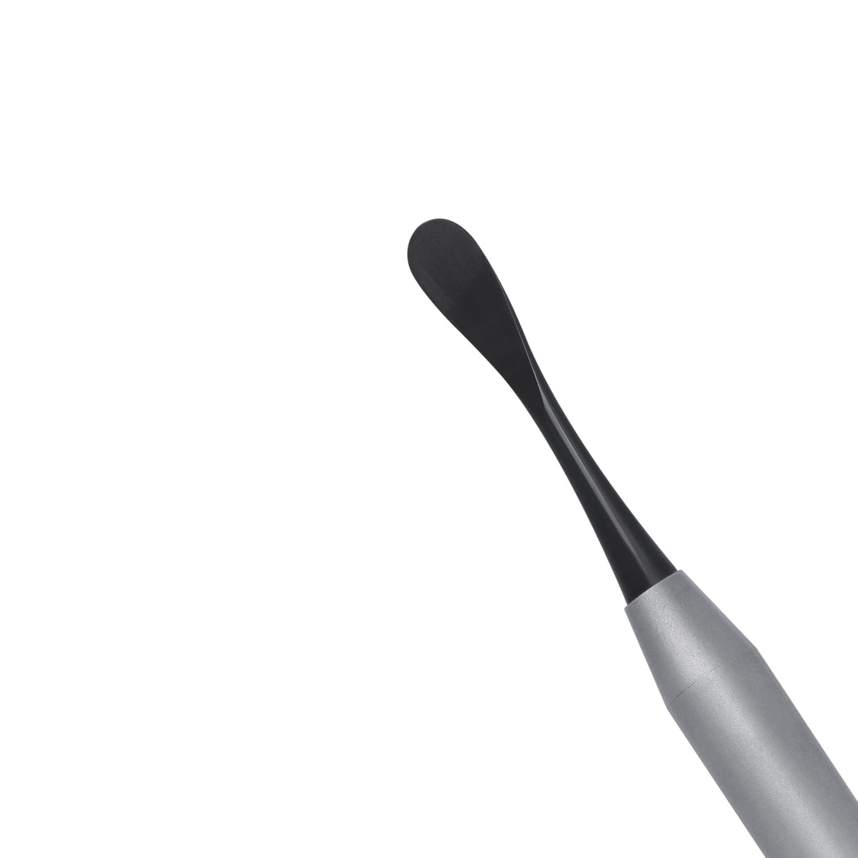 9 Siyah Molt Periosteal