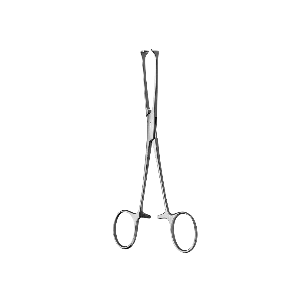 Allis Tissue Forcep, 5x6 Teeth, 15CM