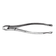 Extracting Forceps – # 151A, Mandibular - 3Z Dental