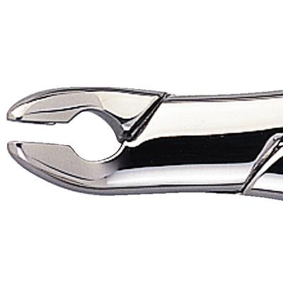 Extraction Forceps