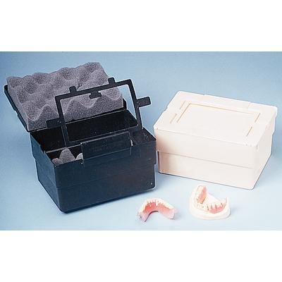 Plastic Mailer - 3Z Dental