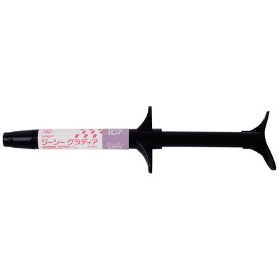 Gradia® Indirect Restoration System – Intensive Color, 2.4 ml Syringe