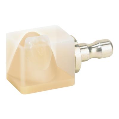 VITABLOCS® RealLife for CEREC® and inLab® MC XL – Size RL-14/14, 5/Pkg