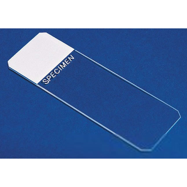 Superfrost® Microscope Slide