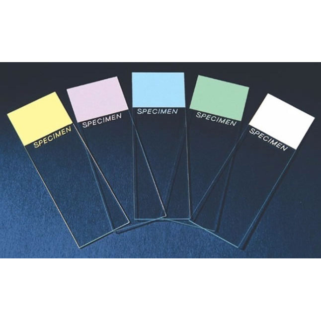 Colorfrost® Plus Microscope Slide