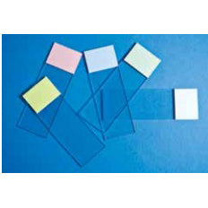 Permafrost Microscope Slide