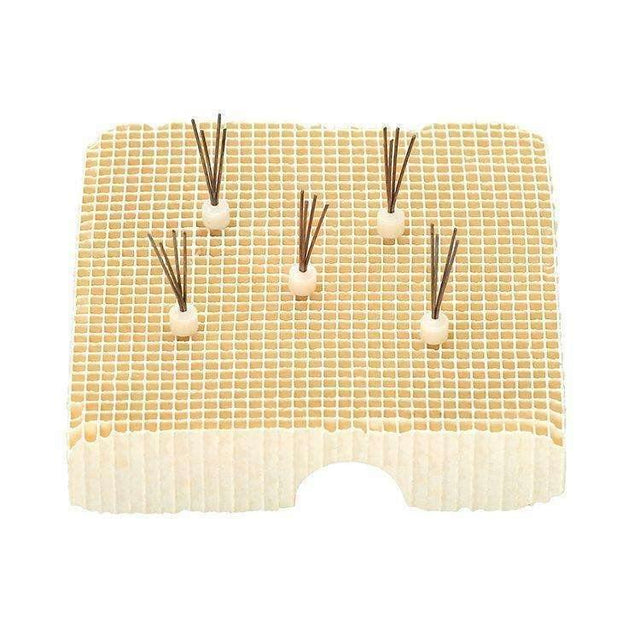 V Pegs - 3Z Dental
