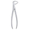 74 Lower Roots Serrated Extraction Forceps