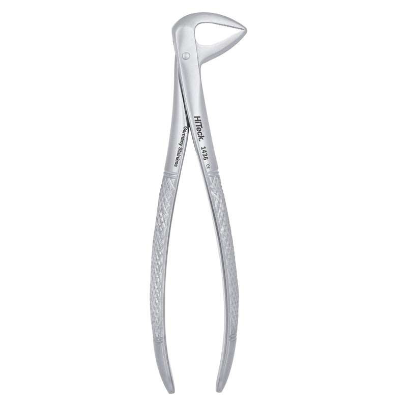 74 Lower Roots Serrated Extraction Forceps