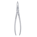 97 Upper Roots Serrated Extraction Forceps