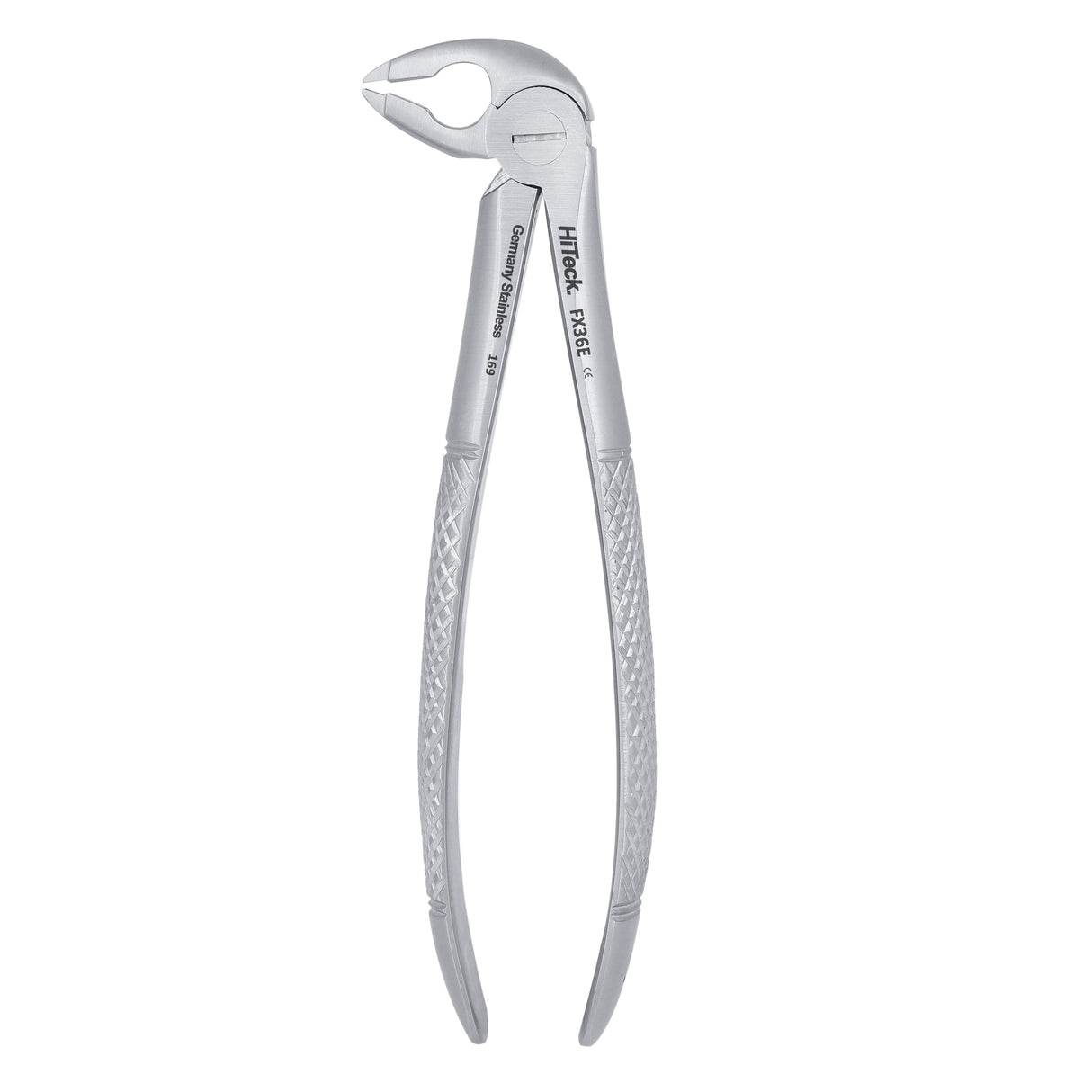 36 Serrated Lower Premolars Extraction Forcep