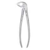 36 Serrated Lower Premolars Extraction Forcep