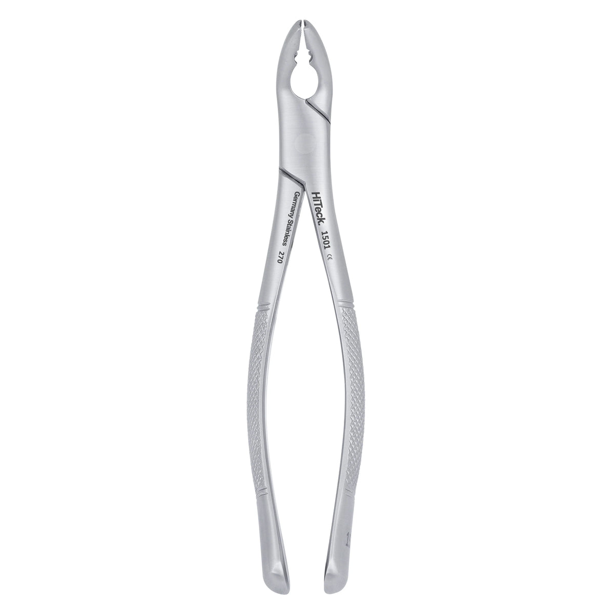 151AS Split Beaks Serrated Extraction Forceps – Lower Incisors, Canines ...