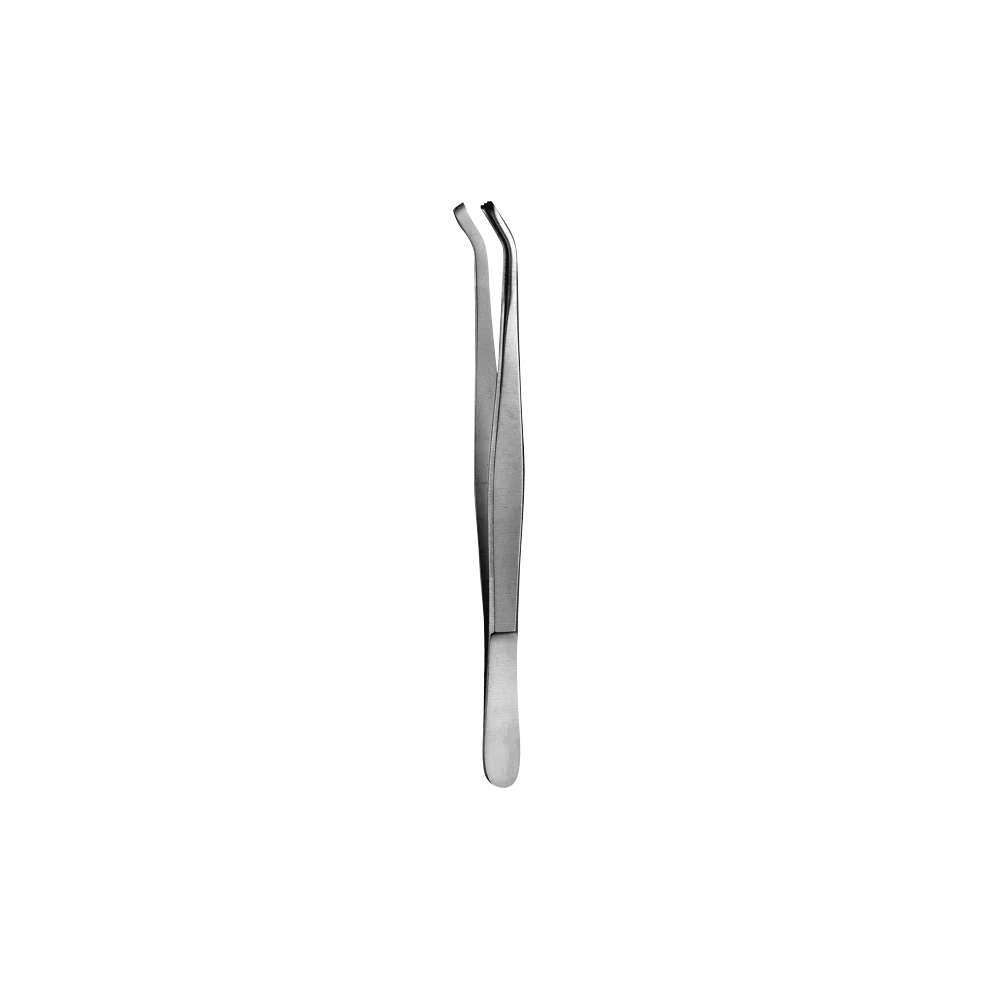 16 Tissue Forcep, 3x4, 15CM