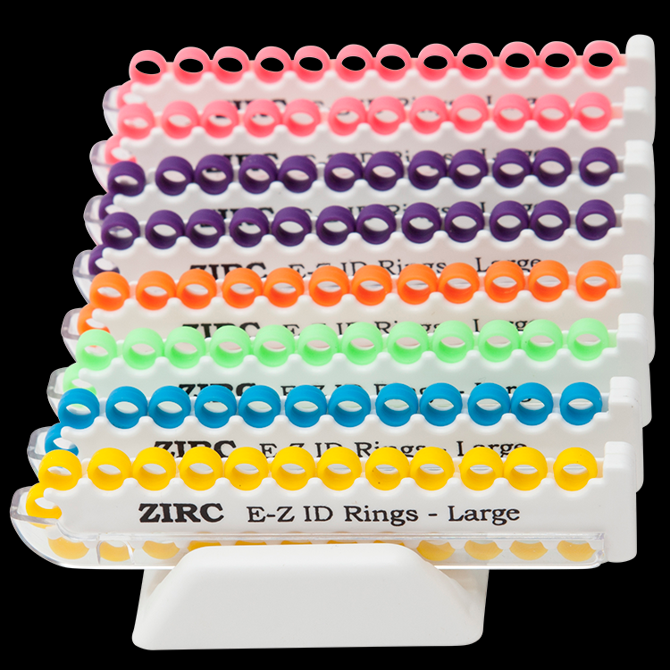 E-Z ID Rings System