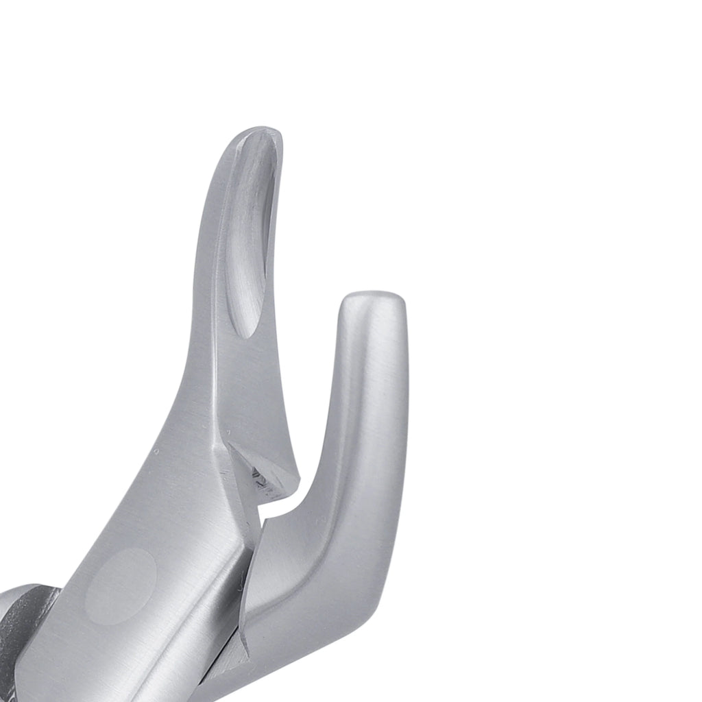 O.R GRADE DENTAL TOOTH SURGERY EXTRACTING FORCEPS #151S O.R GRADE DENTAL TOOTH SURGERY EXTRACTING FORCEPS #151S