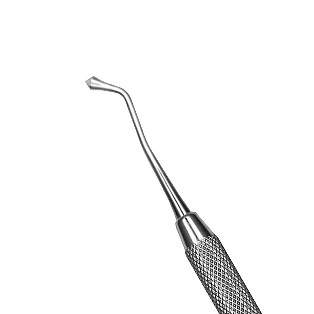 Burnishers – # 21, Acorn, Double End