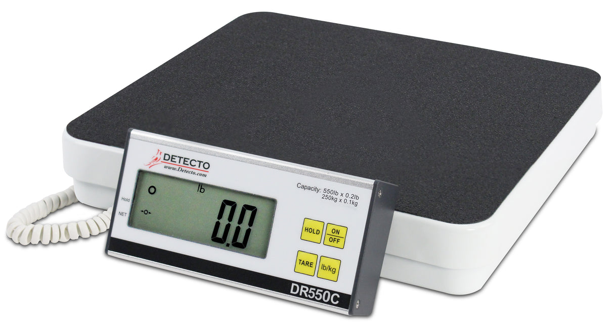 SCALE PORTABLE S/S HIGH CAP 1EA