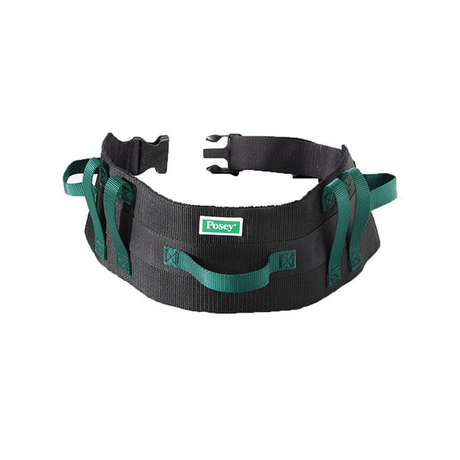 Transfer Belt, Economy