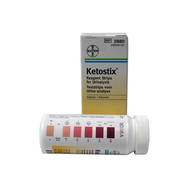 Ketostix® Urinalysis Strip – 3Z Dental