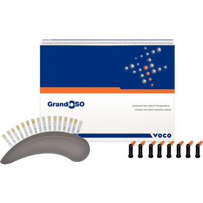 Grandio Blocs n. 12 Universal HT Bloques de Composite CAD/CAM 5u VOCO Grandio Blocs n. 12 Universal HT Bloques de Composite CAD/CAM 5u VOCO