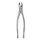 Extracting Forceps –