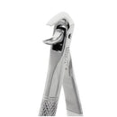 Extracting Forceps –