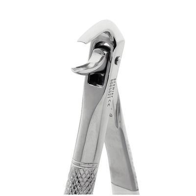 Extracting Forceps –