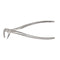 Extracting Forceps –