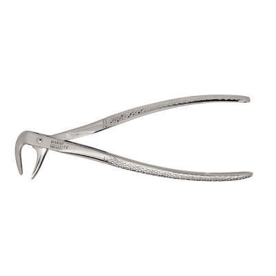 Extracting Forceps –