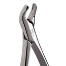 Extracting Forceps –