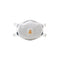 Particulate Respirator, N100, White