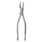 Extracting Forceps –
