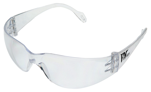 Protective Glasses ProVision - In Stock Now - 3Z Dental (5046816702509)