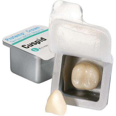Protemp™ Crown Temporization Material Refill