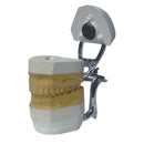 Magnet X Model System - 3Z Dental