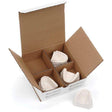 Model Storage Box - 3Z Dental