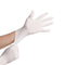 Vinyl Examination Gloves, Powder Free (4951906811949)